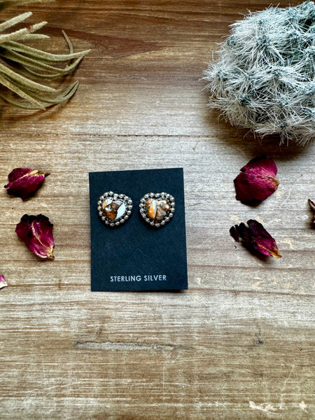 Heart Spiny and Turquoise || Stud Earrings