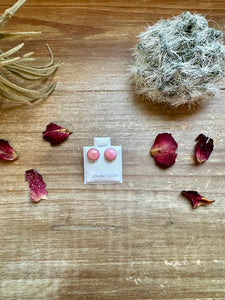 Pink Conch || Stud Earrings