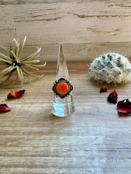 Orange Spiny and Sterling Silver || Size 8 Ring