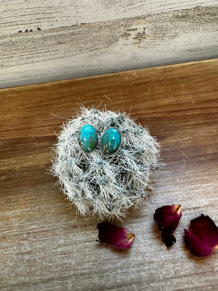 Turquoise Green and Blue || Stud Earrings