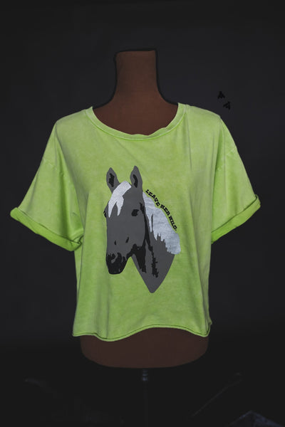 FLASH SALE * WILD HORSES